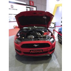 Armaspeed ARMAFDMSTG-A-MATT Carbon Air Intake FORD MUSTANG ECOBOOST MK6